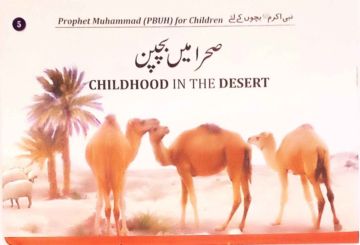Childhood in the Desert ( Sehra may Bachpan ) Part 5