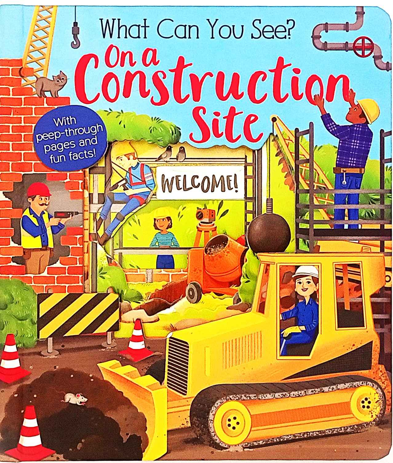 What Can you See on a Construction site